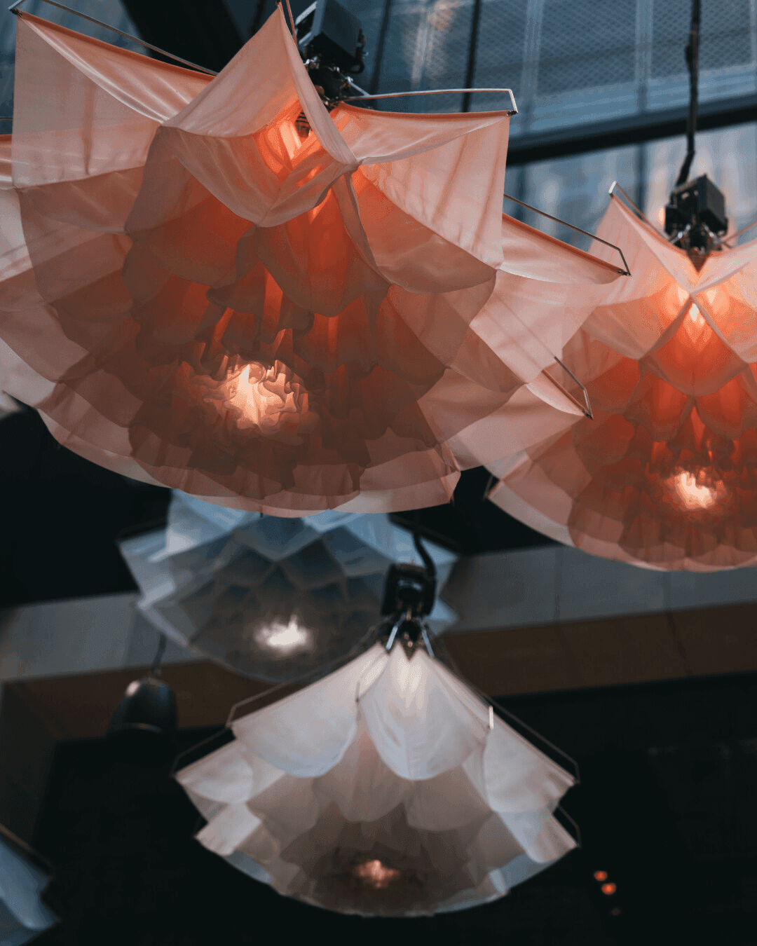Capella Carousel 6