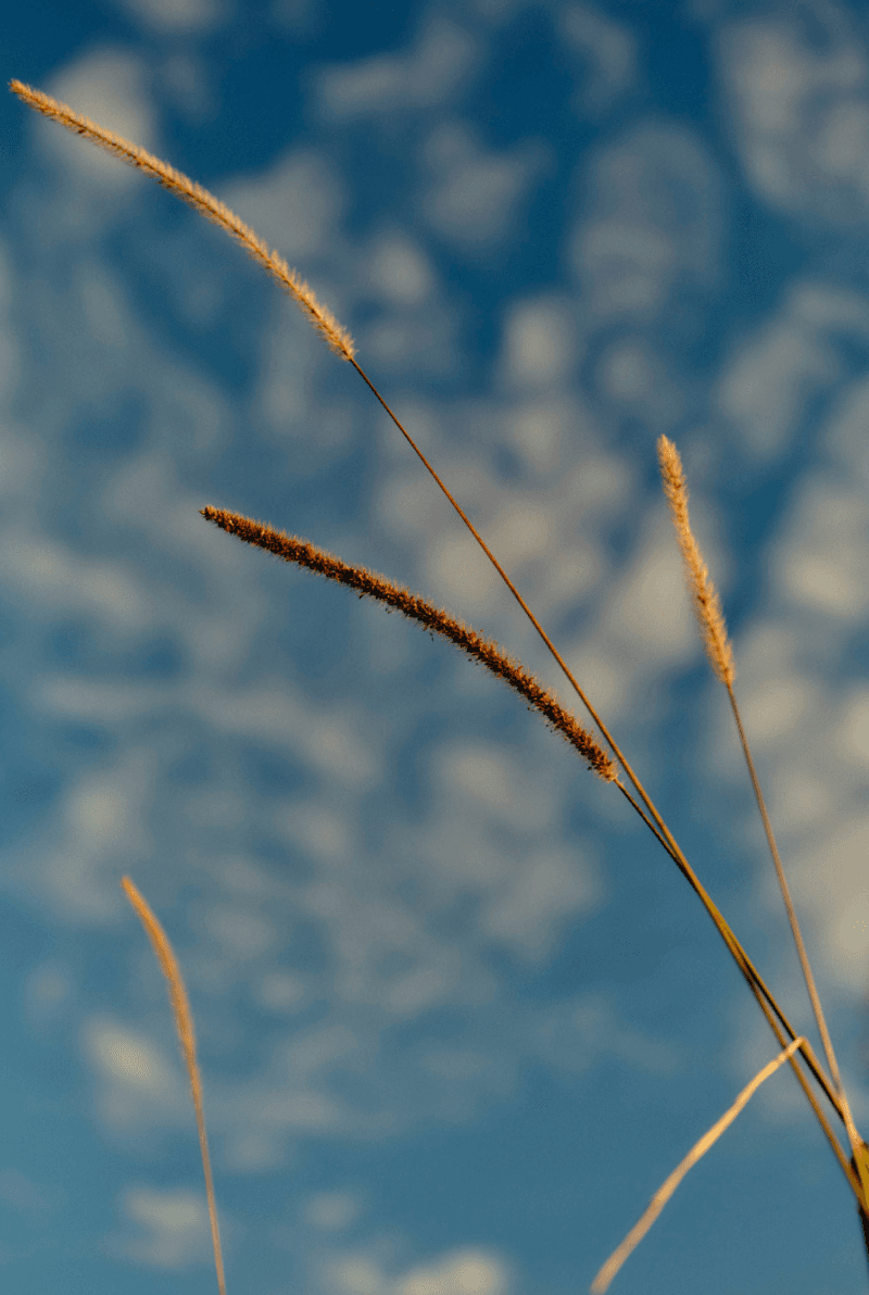 BATHOUSE_QT_583-scaled_47