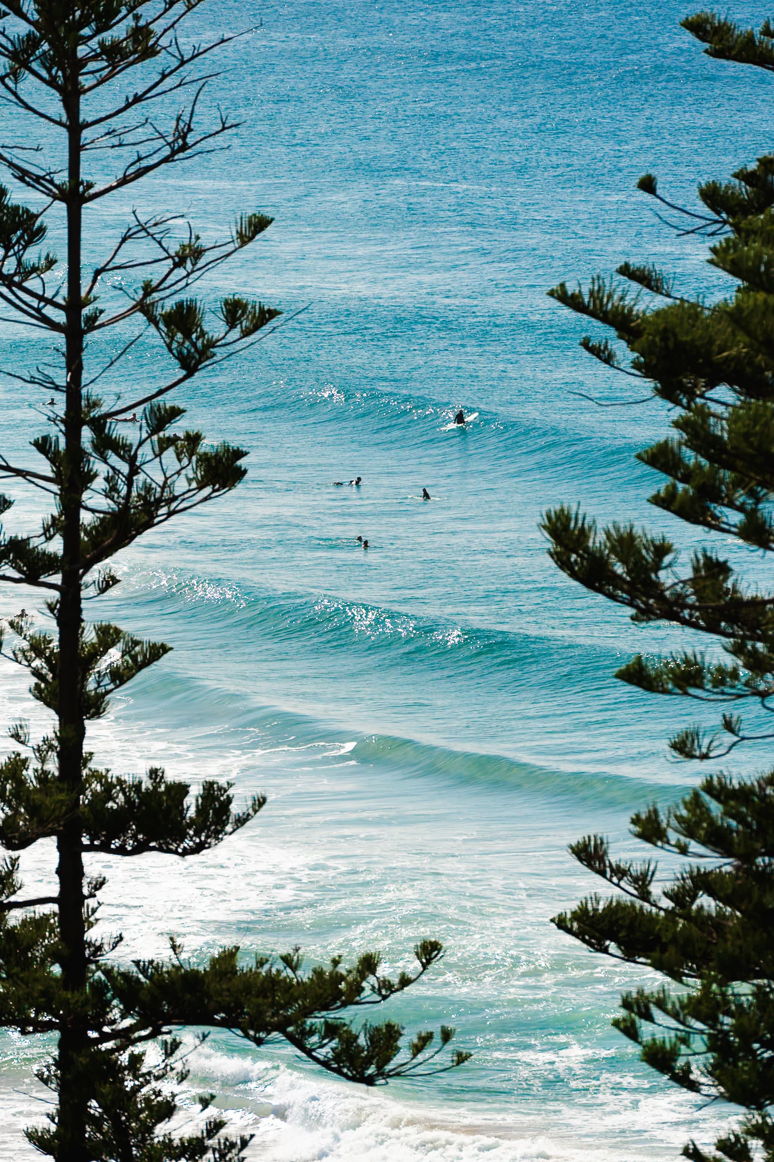 Manly Surf