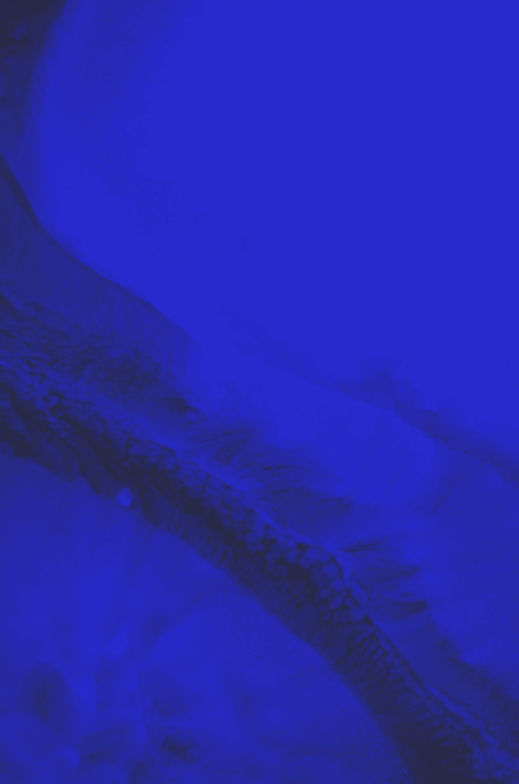 Brand 8 Video Still