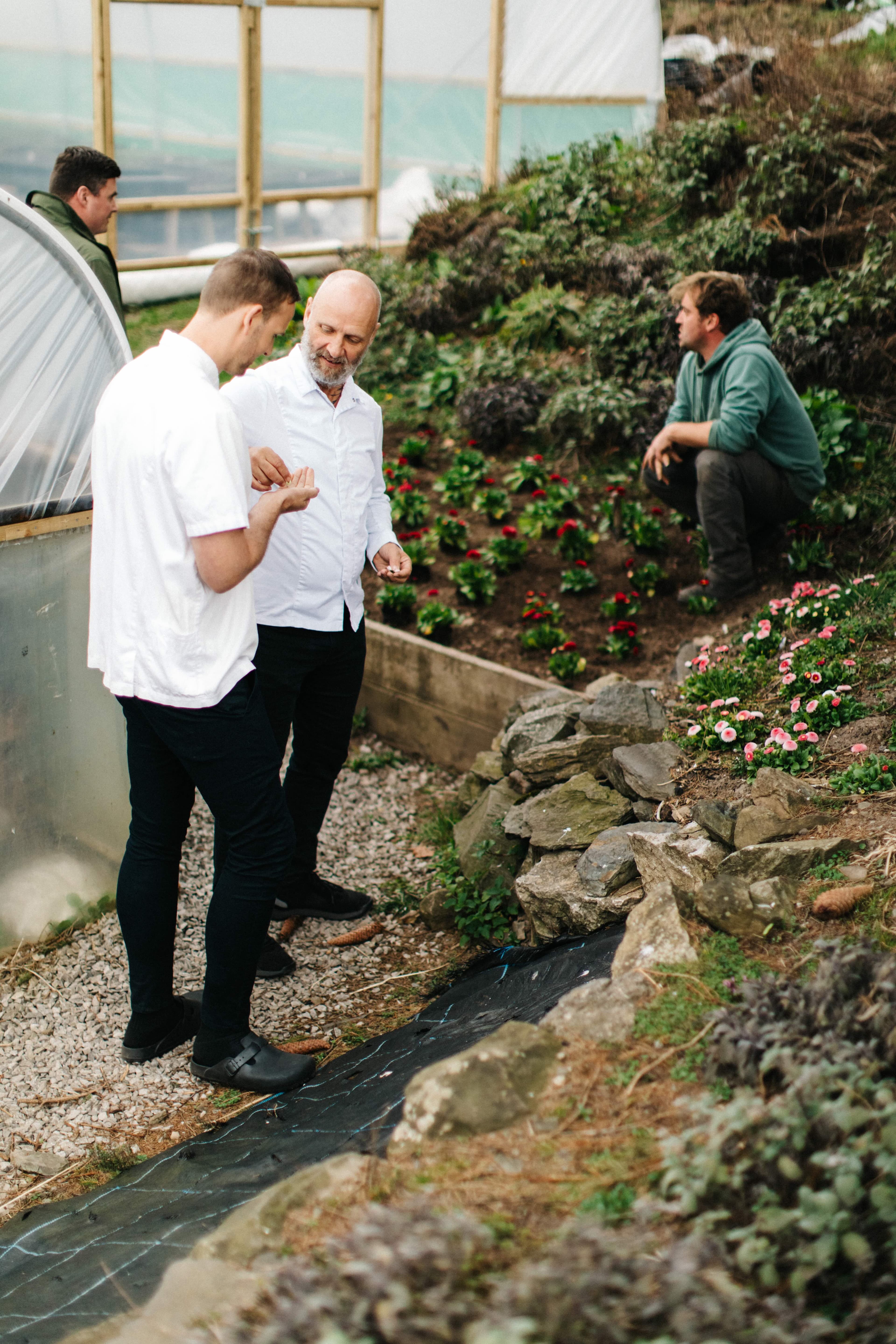Pavilion Chefs Garden