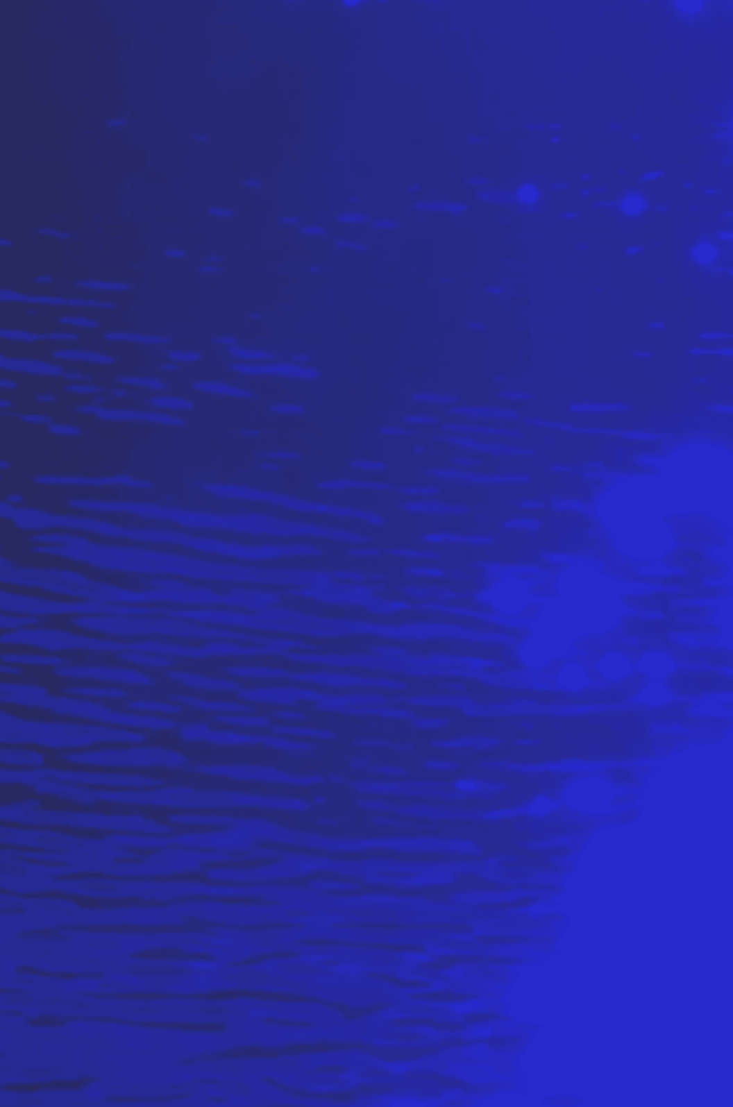 Brand 9 Video Still
