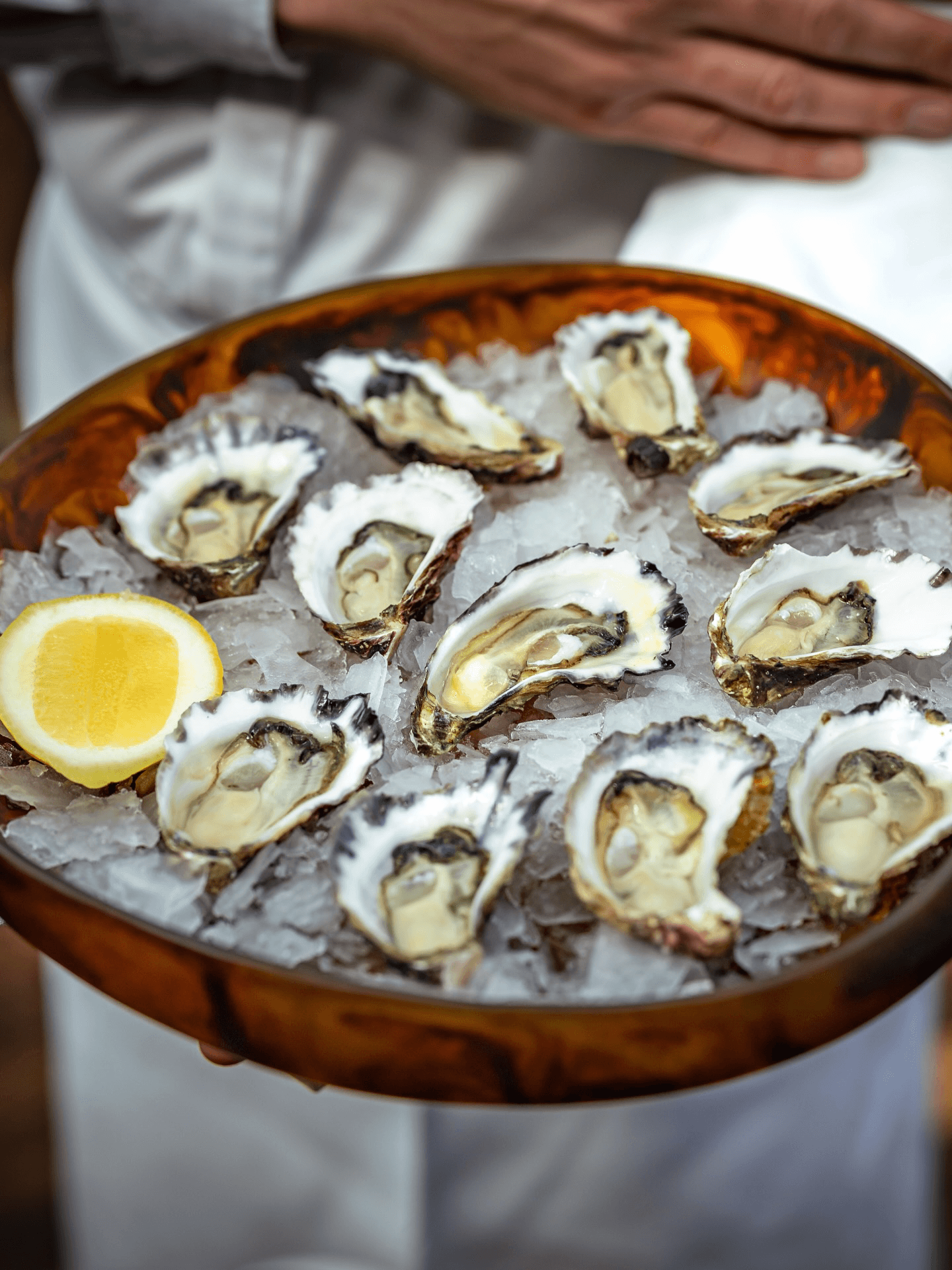 Cafe Sydney Oysters